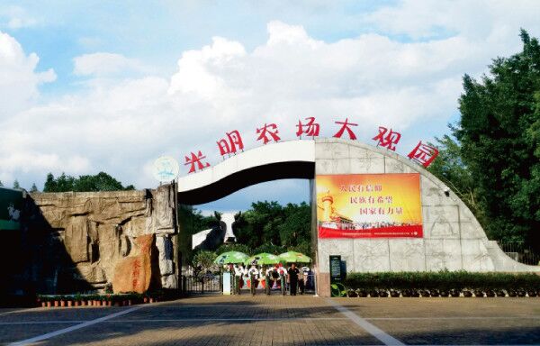 品牌設(shè)計(jì),深圳品牌設(shè)計(jì),深圳LOGO設(shè)計(jì),平面策劃公司,logo設(shè)計(jì),vi設(shè)計(jì)